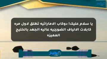 يا سلام عليك! دوكاب الإماراتية تطلق لأول مرة كابلات الألياف الضوئية عالية الجهد بالخليج المميزة